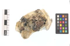 Foto von Silber (NHMW-MIN-Ai514)